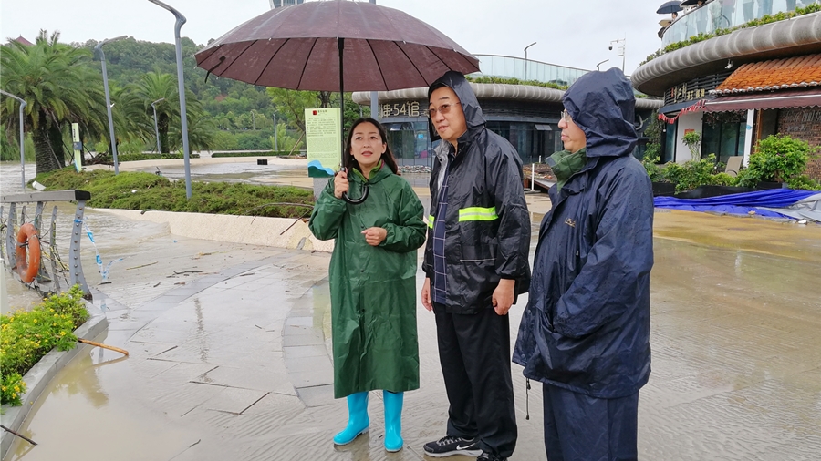 04-8月16日，程總視察三江半島及豪威爾號(hào)受損情況_副本